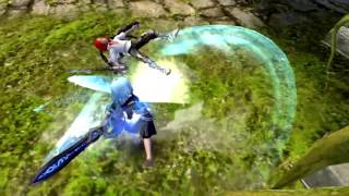 Dragon Nest Warrior CMV - Goodbye T4