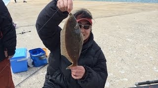 83.福島県　小名浜港！赤煙突初上陸！！