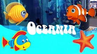 The giant aquarium in the Mall | Гигантский аквариум и детская игровая площадка в ТРЦ Океания Москва