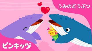 くじら | うみのどうぶつ | どうぶつのうた | ピンキッツ童謡