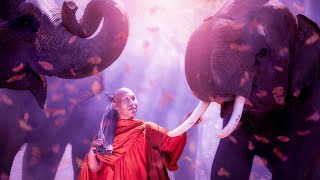 Self Love Energy Cleanse | Meditation Music 528Hz | Detox Frequency Healing | Stress Relief Music