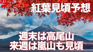 紅葉見頃予想 週末は高尾山、来週は嵐山も見頃に
