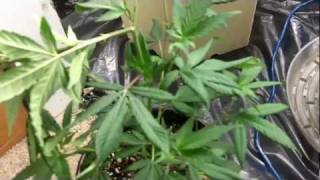 How To Supercrop