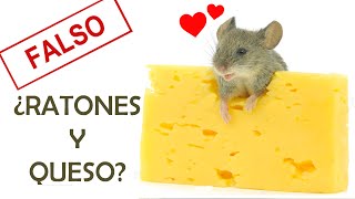 ¿LOS RATONES AMAN EL QUESO? | MITOS ZOOLÓGICOS
