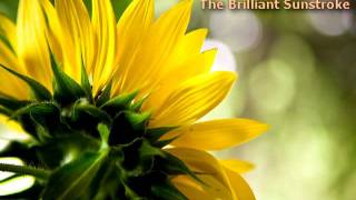 Dj ManArt - The Brilliant Sunstroke