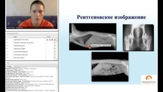 Бесплатный вебинар по рентгенологии