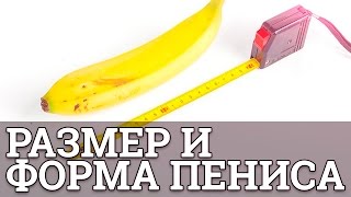 Имеет ли значение размер и форма пениса || Юрий Прокопенко 18+