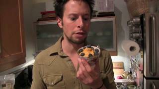 Persimmon Gelato Ice Cream: Vegan Raw Food Recipe