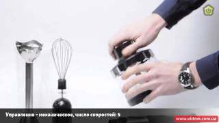Блендер Scarlett SL 1542