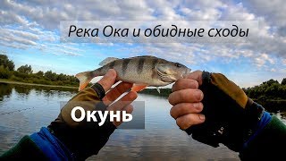 Река Ока, Россия. Много окуня на микроджиг и воблеры. Обидные сходы щуки. 2017/08.