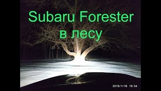 Video 248: Subaru Forester в своей стихии лес и немного бездорожья езда боком