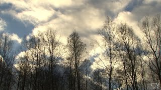 Погода в будущем: что учёные называют трагедией? И почему это потрясёт экономику? // Интервью