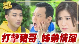 《金彩大回甘》EP4 打擊豬哥 姊弟情深