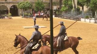 CORDOBA ECUESTRE 22/05/2016