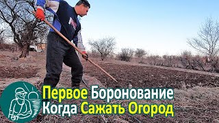 Боронование почвы Когда сажать: рассаду, капусту, морковь, лук ???????????? Опыт выращивания Гордеевых