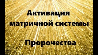 АКТИВАЦИЯ МАТРИЧНОЙ СИСТЕМЫ. Пророчества