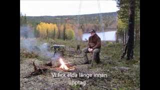 Harjakt med beagle
