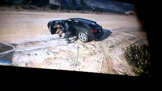 Gta v director mode prison