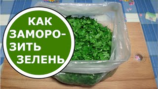 Как ЗАМОРОЗИТЬ Зелень на Зиму ПРАВИЛЬНО! Заморозка Зелени!