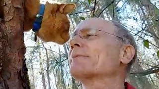 This 70-year-old man has saved 700 cats from trees