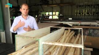 SHOPPING KAY | La fibre de banane