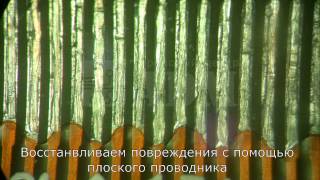 Восстановление шлейфа LCD после неквалифицированного ремонта