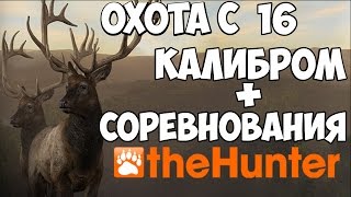 theHunter: Classic - Охота с ружьем 16 калибра + соревнования охотников