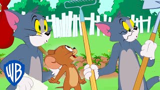Tom und Jerry auf Deutsch | Tom besucht die Heimat | WB Kids