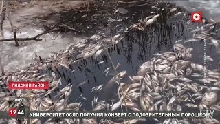 Массовый мор рыбы. Зима 2019. Лида. Лидский район. Беларусь