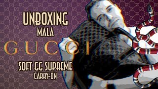 Unboxing mala Gucci Soft GG Supreme Carry on - Emerson Martins Video Blog 2019