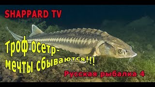 Русская рыбалка 4 ?За осетром персидским)))?РОЗЫГРЫШИ НАЖИВОК И БЛЕСЕН?
