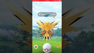 Pokémon Go - Level 5 Raid - Zapdos