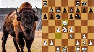 Шахматы завалил бизона за 17 ходов