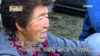 춘천 MBC 맛깔세상 59회 2015-1121