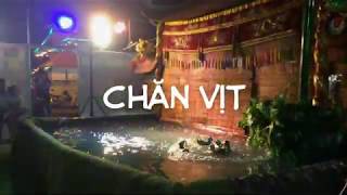 Múa Rối Nước | Tiểu Phẩm: Chăn Vịt - Múa Rồng - Múa Phượng - Múa Tứ Linh