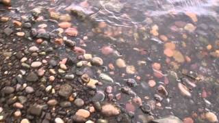 Rock Hounding at the Lake...