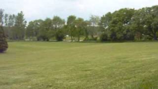 honda Cr80 vs Crf250