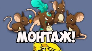 Монтаж по Transformice ★ МЫШКИ И СЫРОК! ★