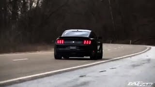 Listen to 800R twin turbo GT350 | Mustang twin turo loud noise | Mustang GT350 loud exhaust sound!!!