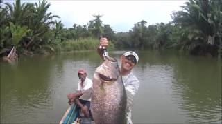 Wailking with Ironman Indonasia Black Bass n Sporttail Black bass fishing trip 2016