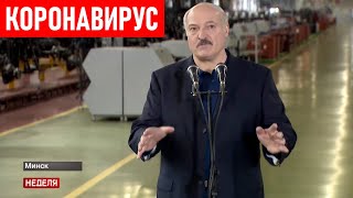 Лукашенко: Люди одурманены! Коронавирус в Беларуси. Главное за неделю (31.05)