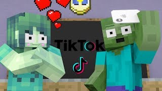Monster School : Tik Tok Challenge - Minecraft Animation
