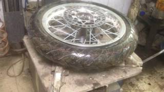 WINTERBIKE & полярная КОЗА
