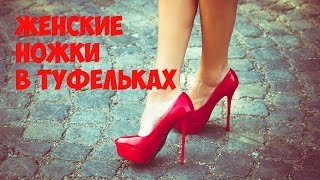 ЖЕНСКИЕ НОЖКИ В ТУФЕЛЬКАХ НА КАБЛУКАХ | PornXi