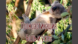 Прокрастинация. Боль и ужас