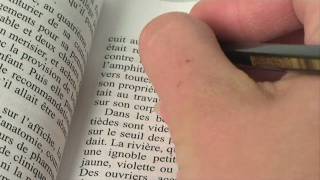 Madame Bovary