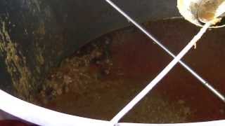 Ghoghay dey channey (Tastes of Pakistan) ChickPea Gravy