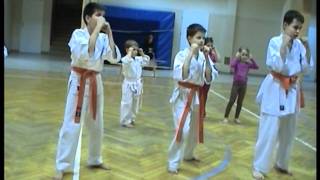 Karate Kyokushin Pawłowice - Trening Dzieci