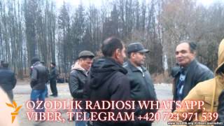 Хориждан мажбуран қайтарилган мардикорлар ишсизлар сафини тўлдирмоқда