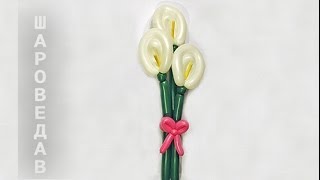 Каллы из шаров Твистинг Callas of balloons Twisting